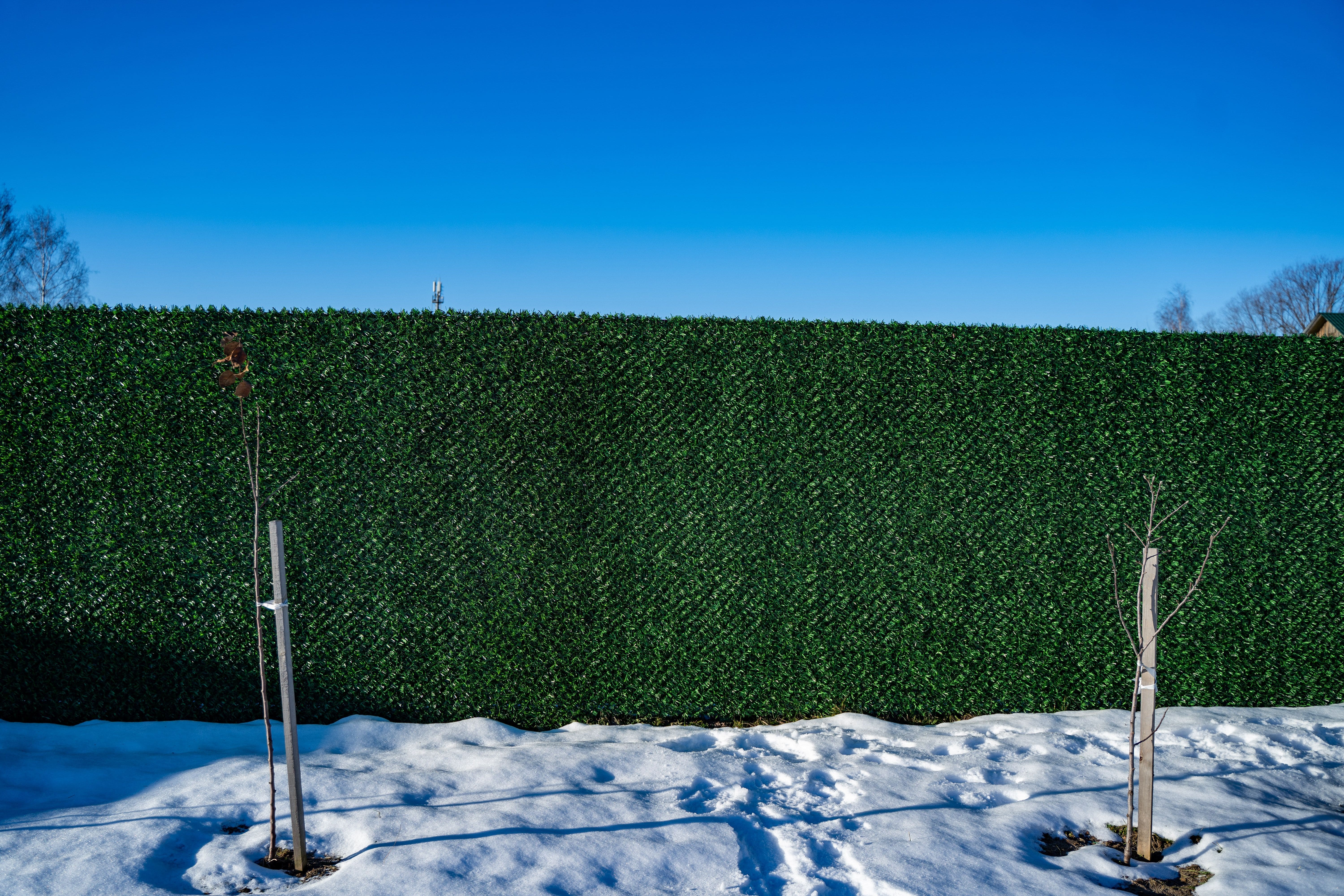 Вечнозеленый забор Grass Fence рулон 2м фото 8 в Красноярске